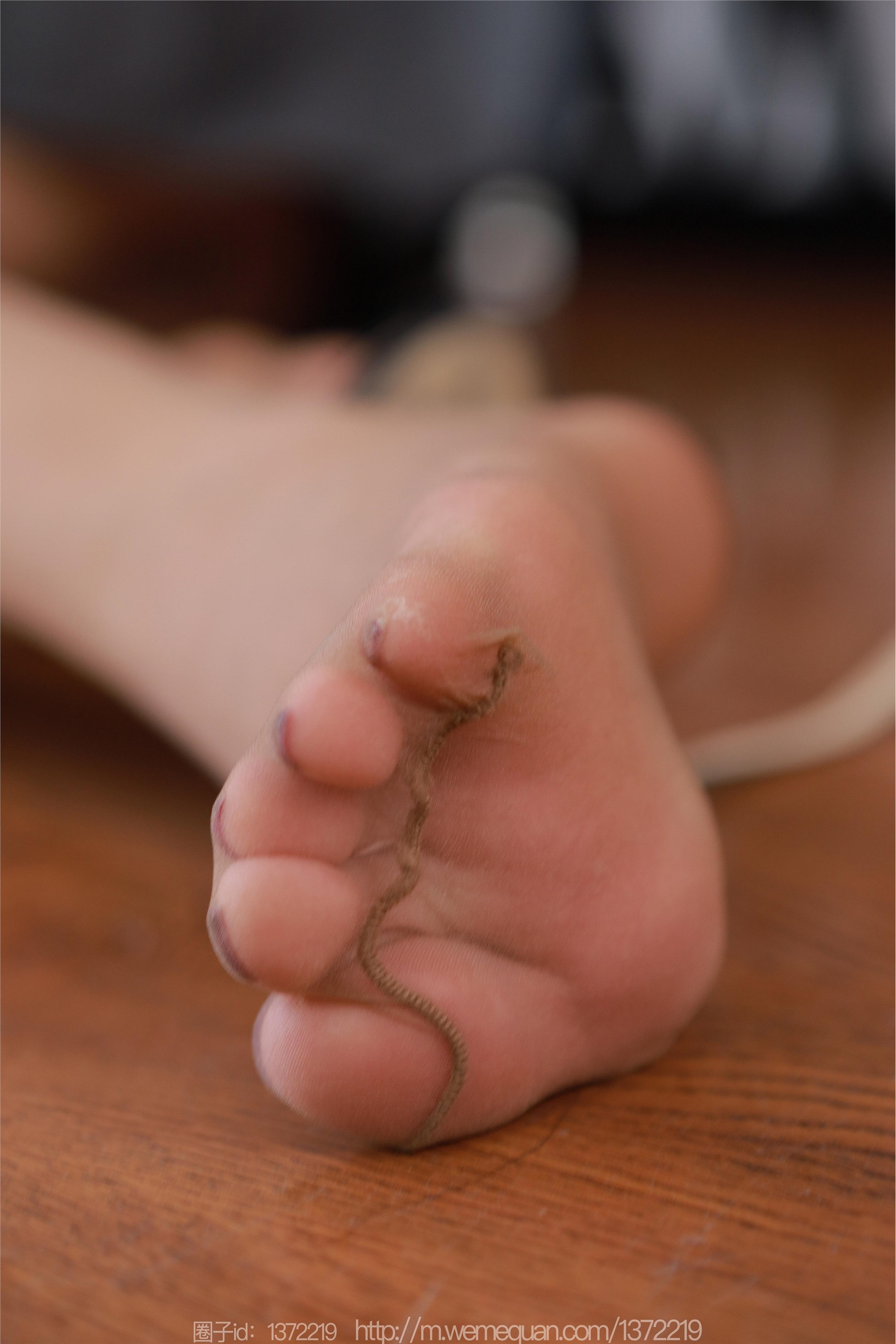 IESS异思趣向  2023.09.15 丝享家 1534 兔兔《贪玩小兔兔》